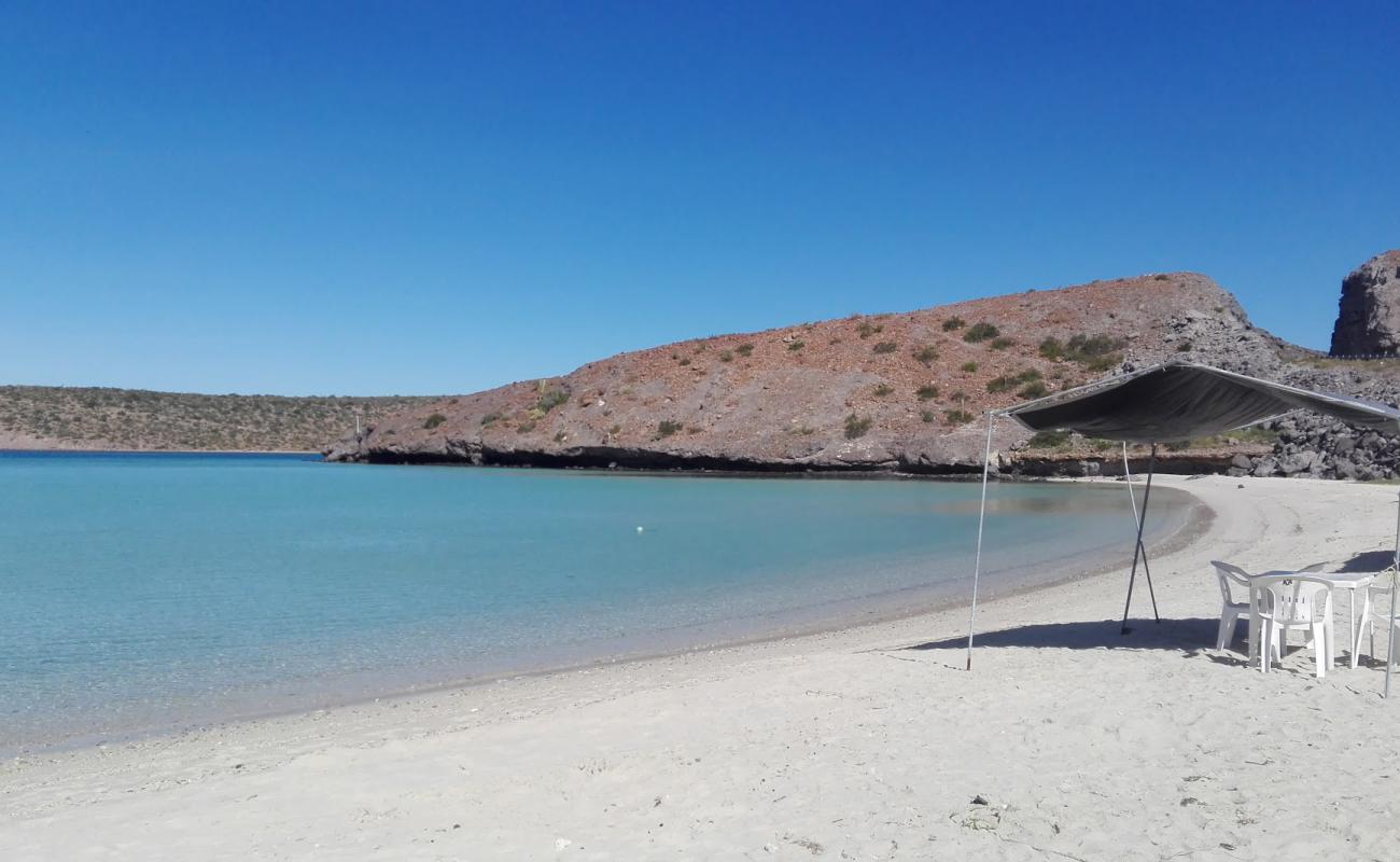 Playa El Tesoro'in fotoğrafı açık bej kum yüzey ile