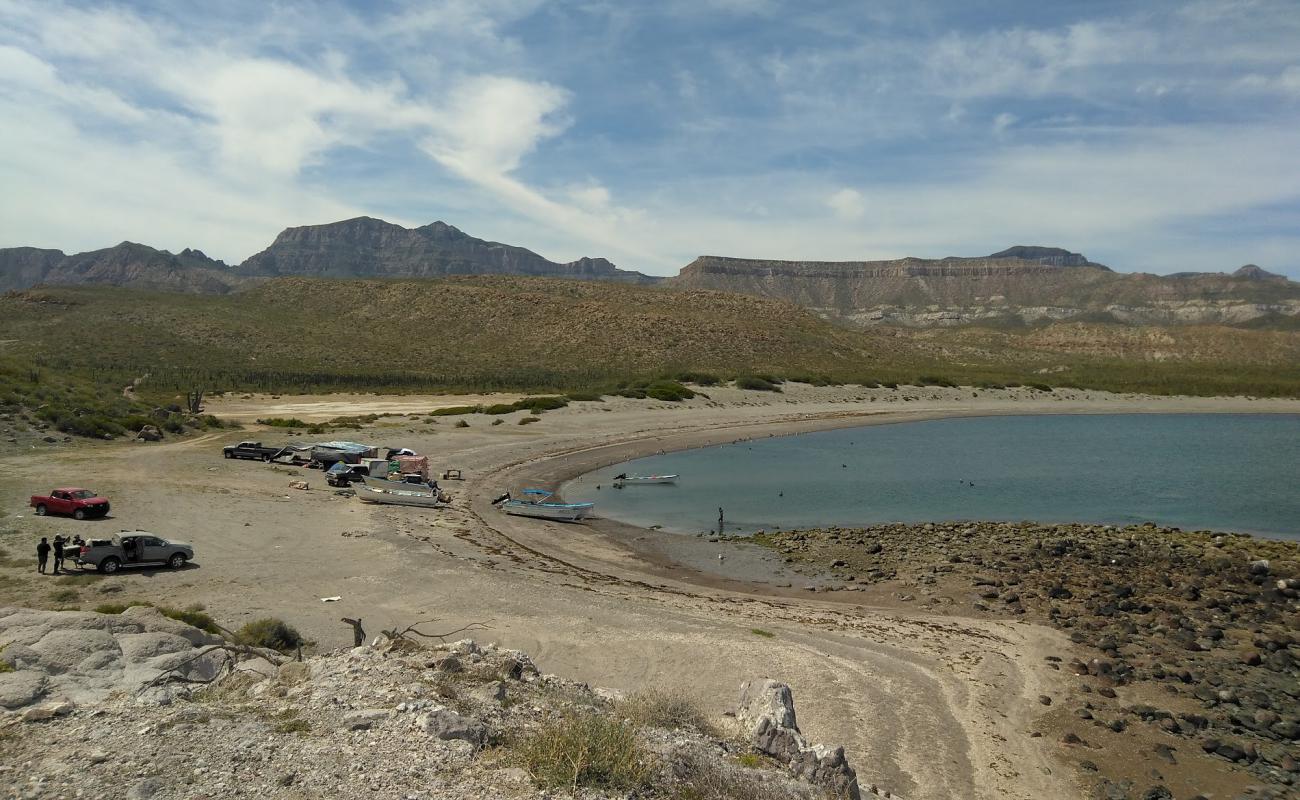 Playa Punta Mechudo'in fotoğrafı gri kum yüzey ile