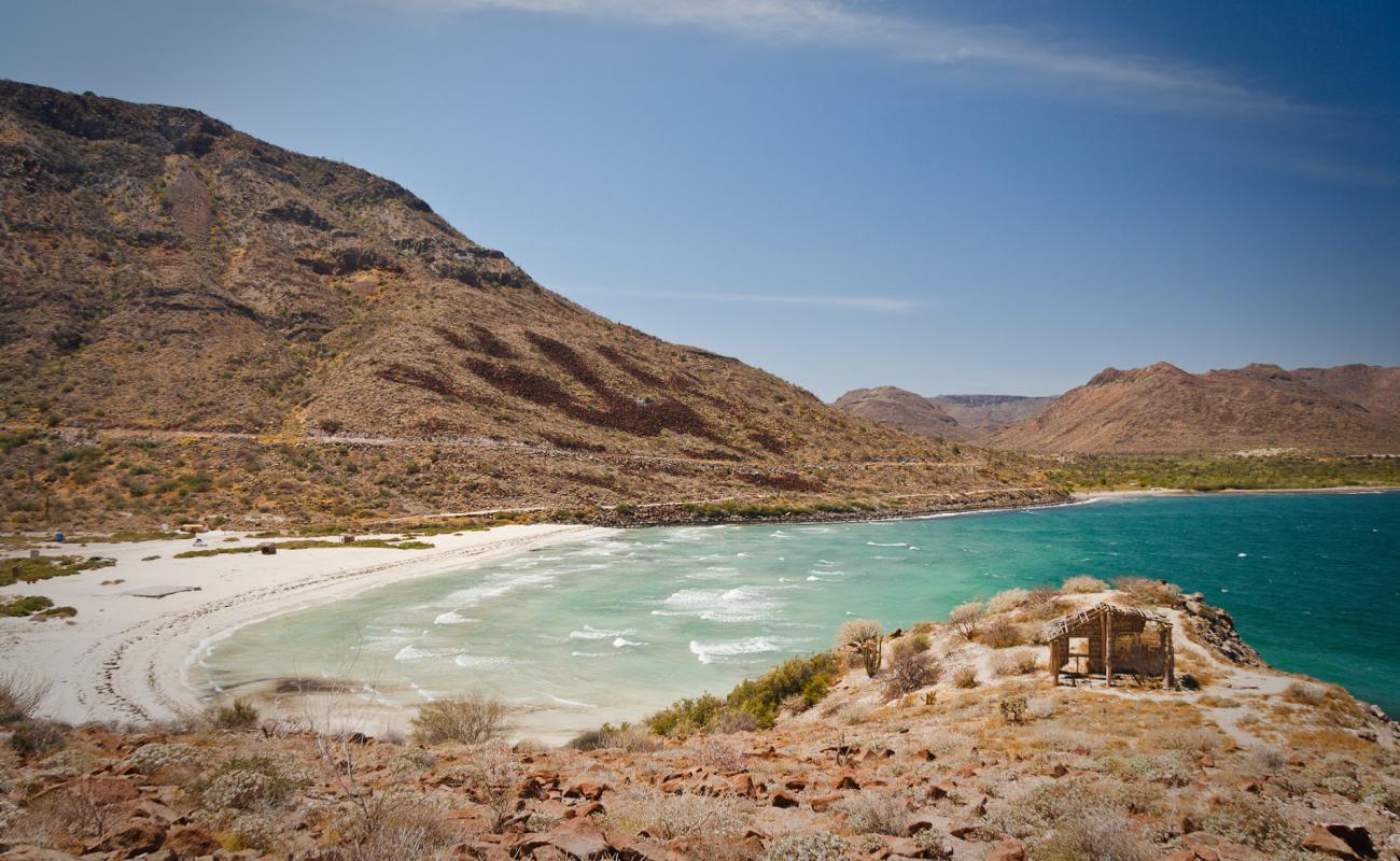 Playa Armenta'in fotoğrafı parlak kum yüzey ile