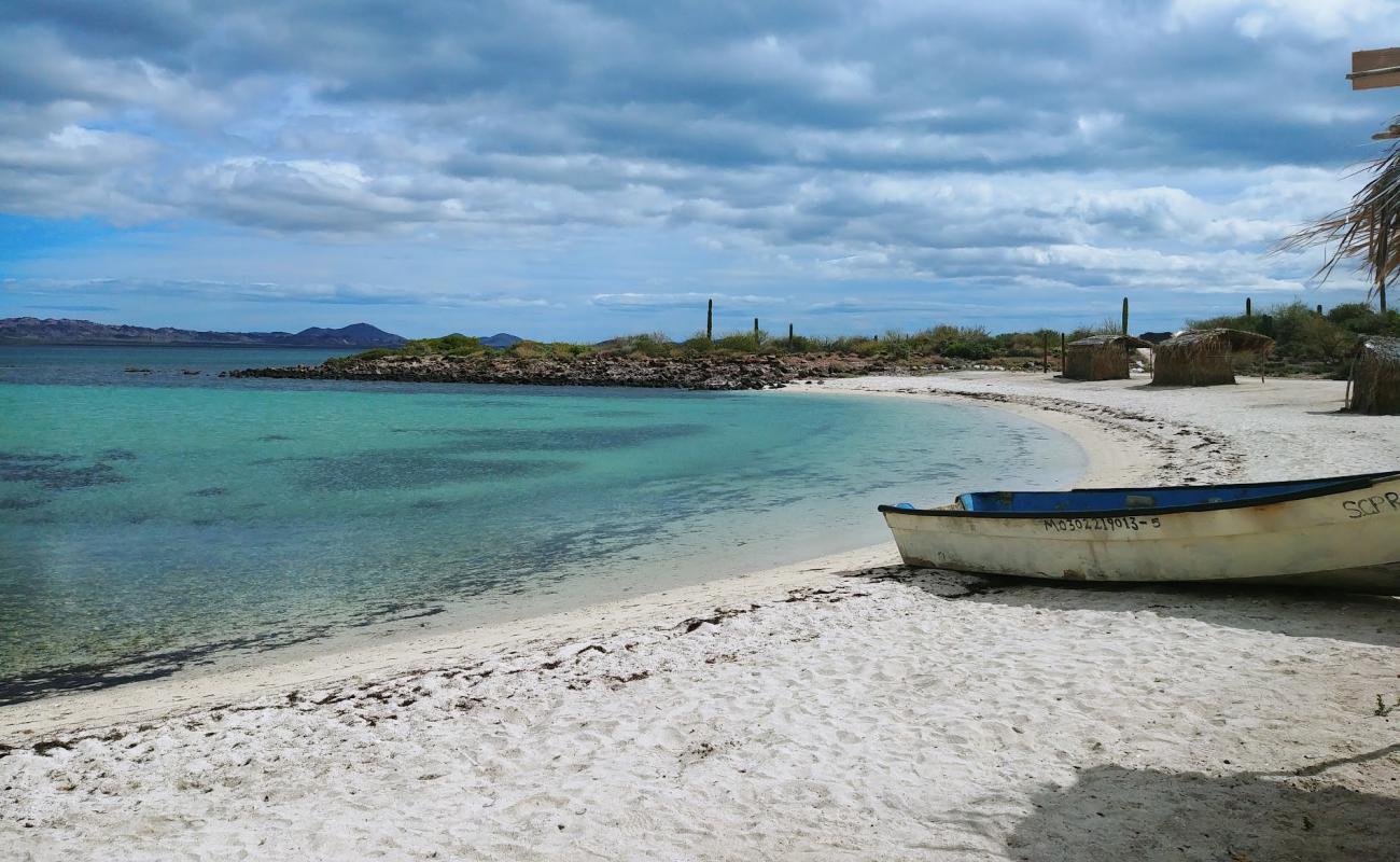 Playa La Perla'in fotoğrafı parlak kum yüzey ile