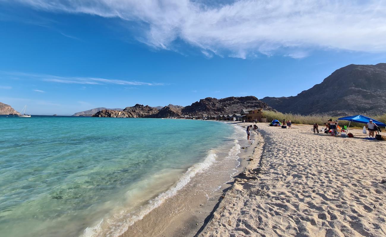 Playa El Burro'in fotoğrafı açık bej kum yüzey ile