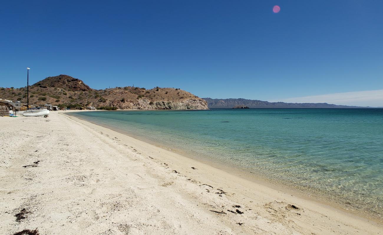 Playa Los Cocos'in fotoğrafı parlak kabuk kumu yüzey ile