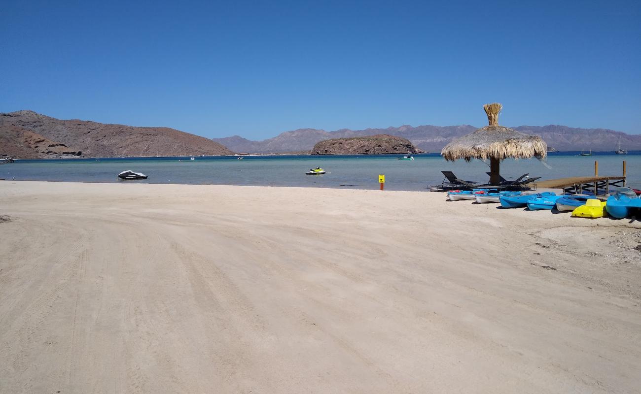 Playa Posada Concepcion'in fotoğrafı açık bej kum yüzey ile