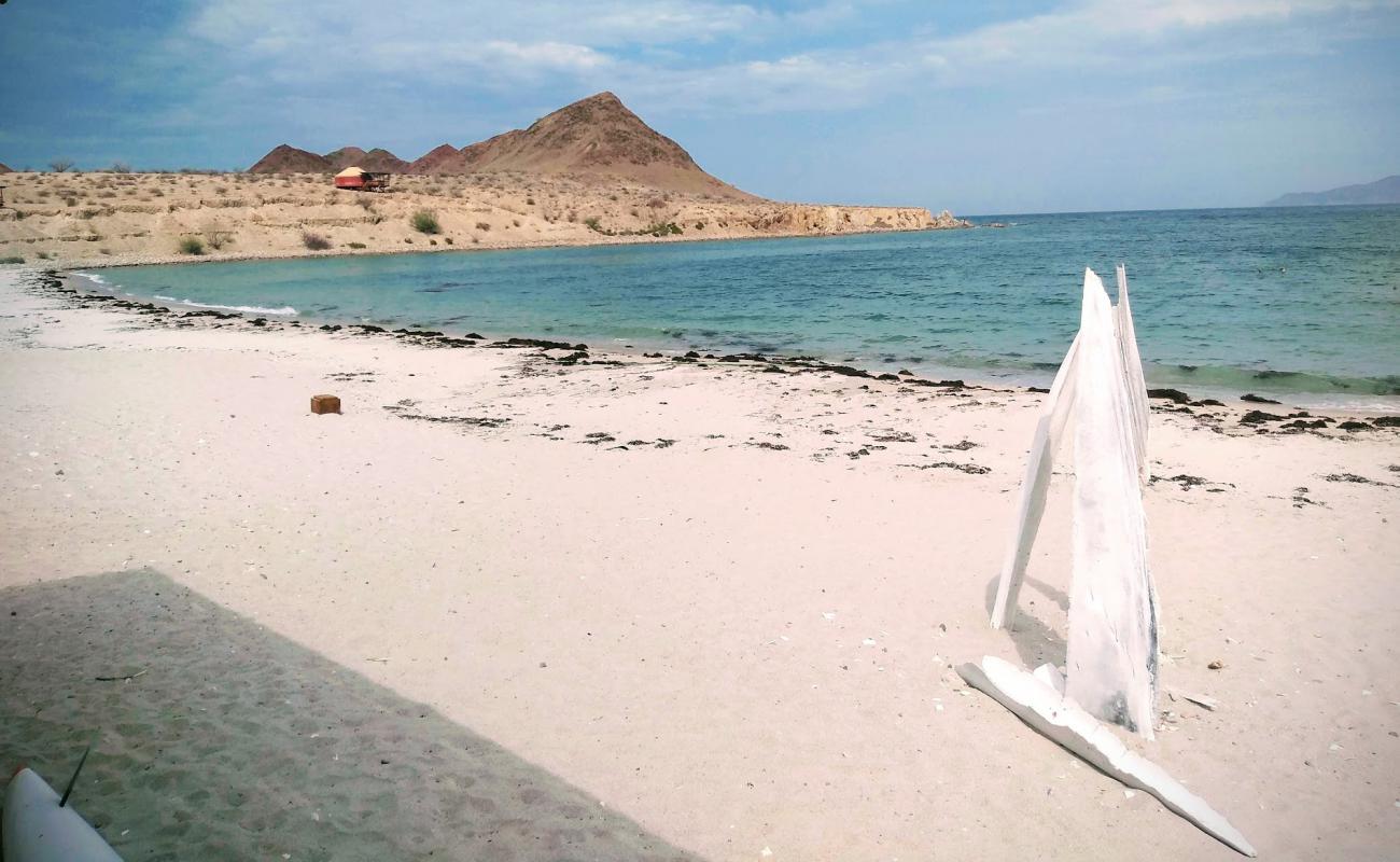 Playa Las Animas'in fotoğrafı i̇nce bej kum yüzey ile