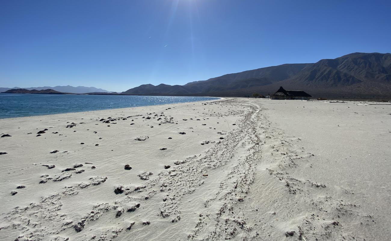 Playa El Pescador'in fotoğrafı i̇nce bej kum yüzey ile