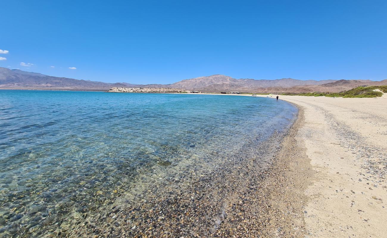 Playa La Gringa'in fotoğrafı gri ince çakıl taş yüzey ile