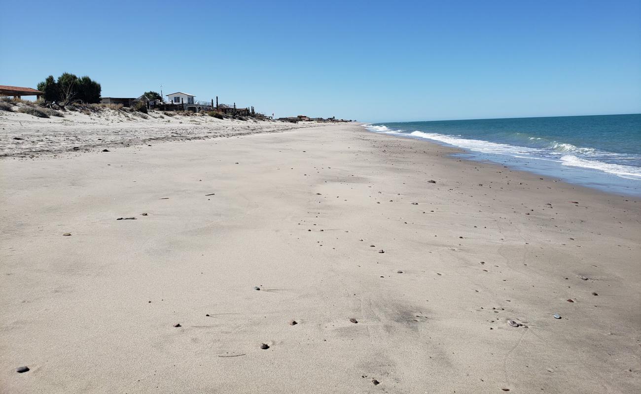 Playa Rancho Anita'in fotoğrafı gri kum yüzey ile