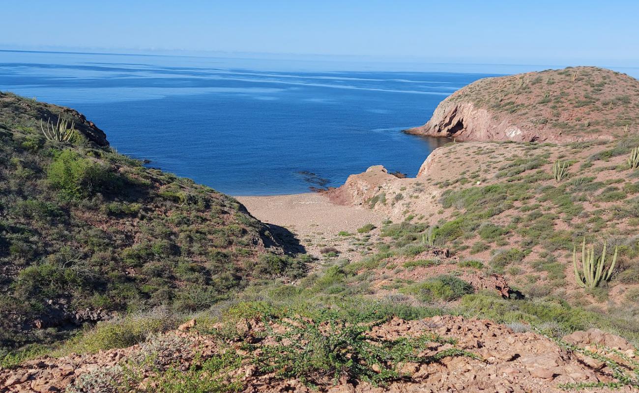 El Pandito beach'in fotoğrafı gri çakıl taşı yüzey ile