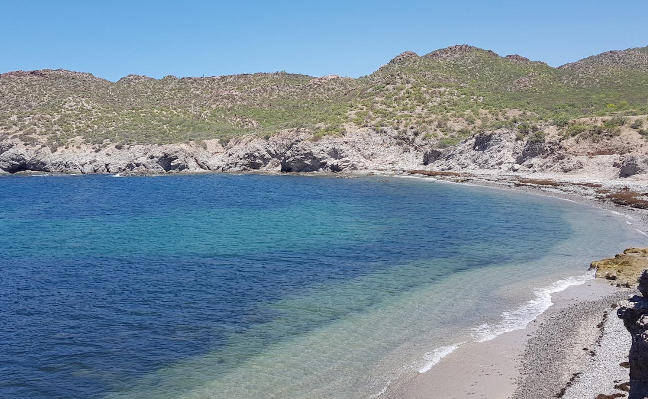 El Choyudito beach'in fotoğrafı gri çakıl taşı yüzey ile