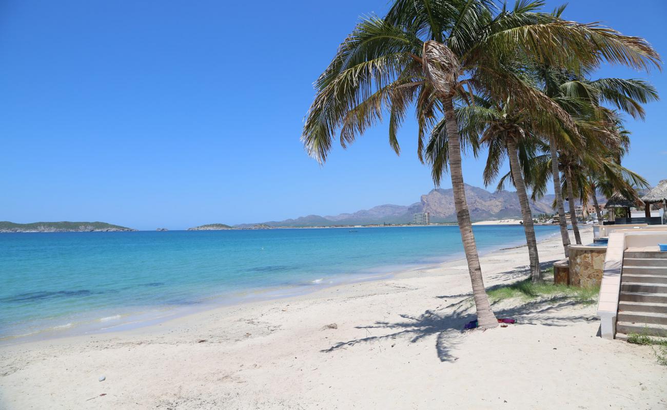 Marina Real beach'in fotoğrafı parlak ince kum yüzey ile