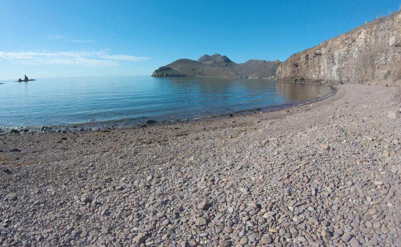 Catalina Bay beach'in fotoğrafı gri çakıl taşı yüzey ile