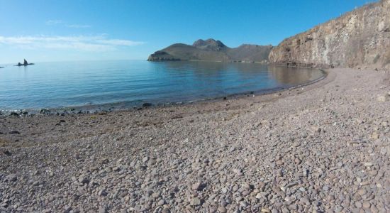 Catalina Bay beach