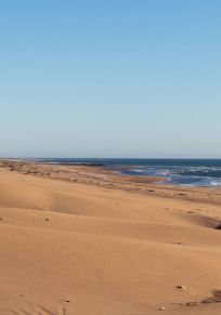 Bahia de Lobos