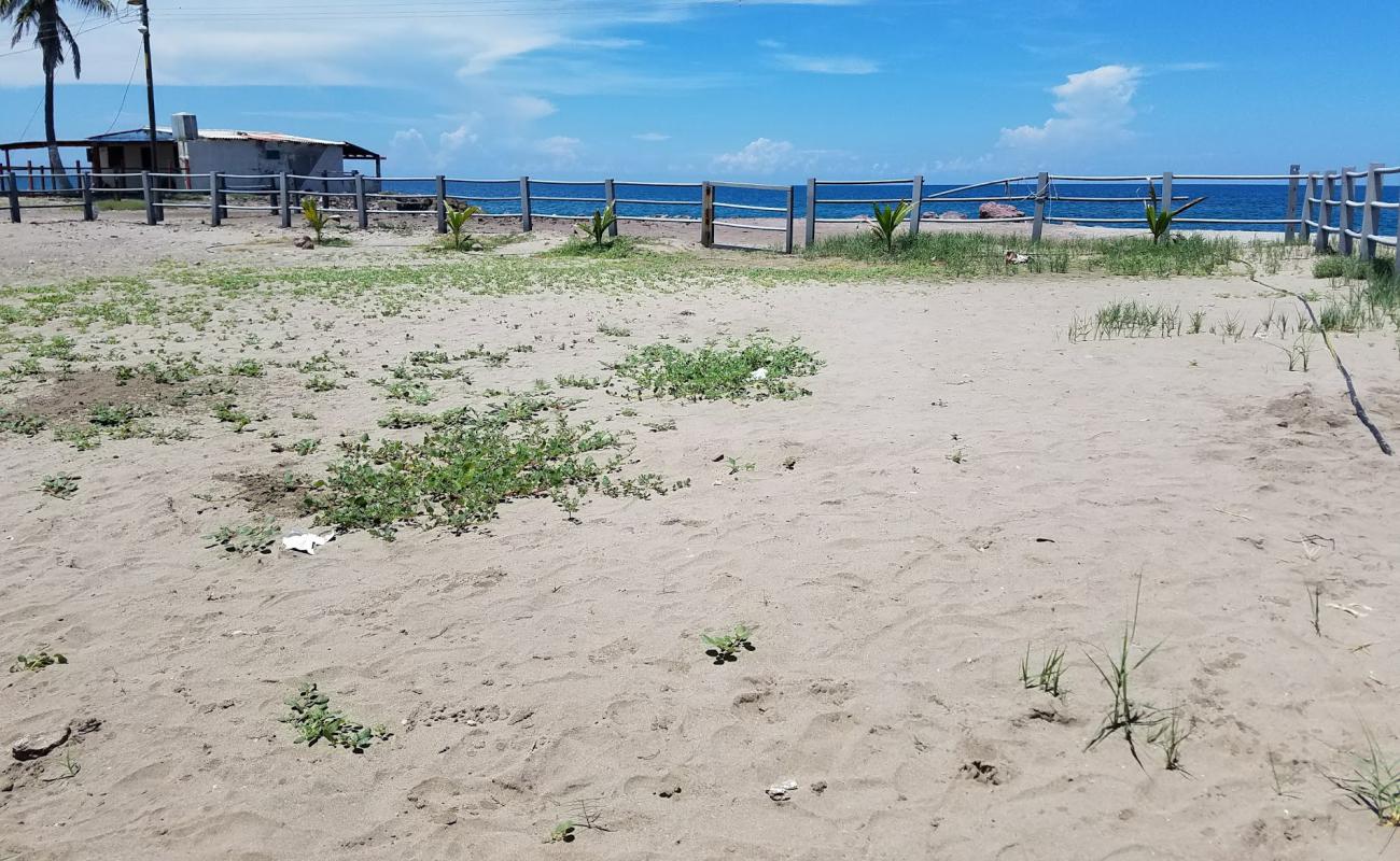 Las Salinas beach'in fotoğrafı açık bej kum yüzey ile