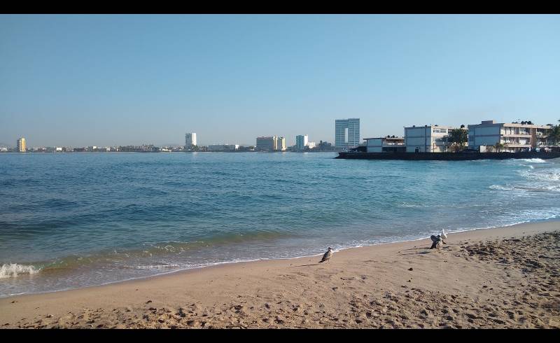 Los Pinitos beach'in fotoğrafı parlak kum yüzey ile