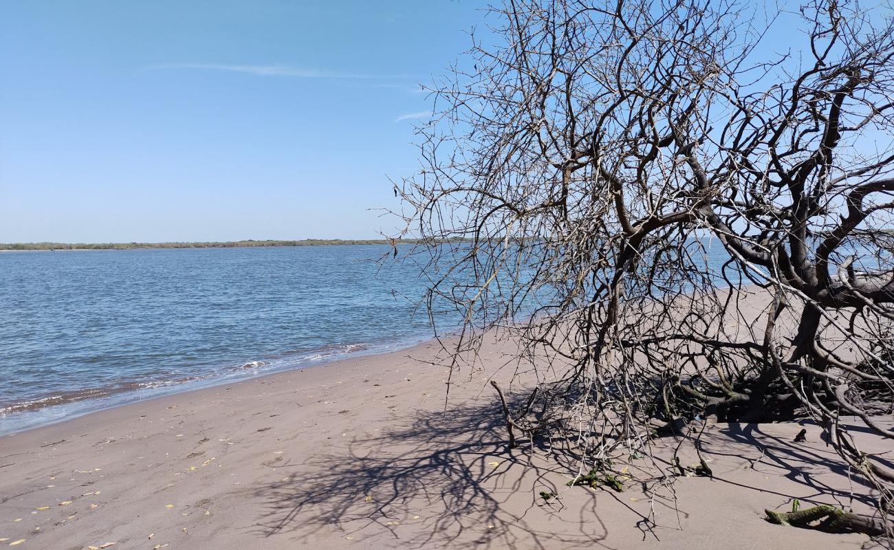 Puerta Palapares beach'in fotoğrafı parlak kum yüzey ile