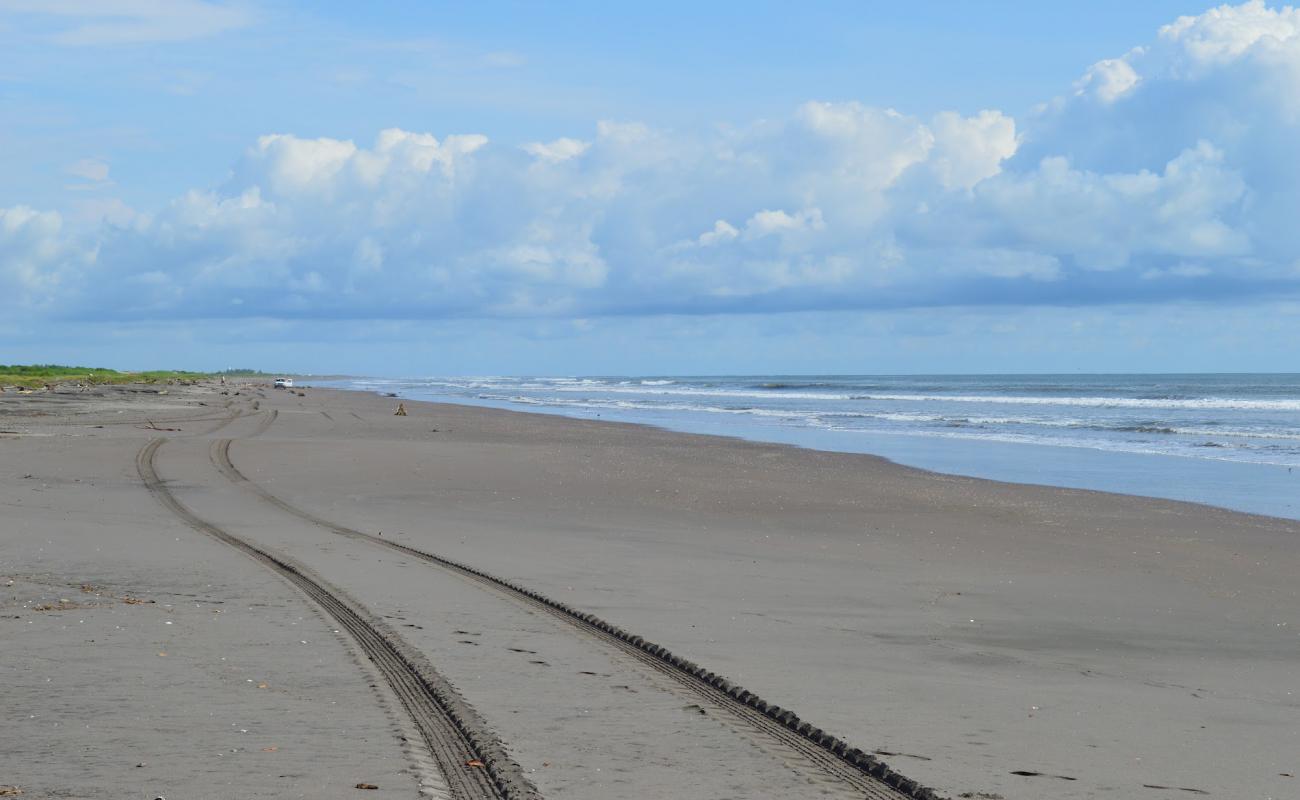 Los Corchos beach'in fotoğrafı parlak kum yüzey ile