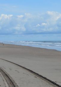 Playa el Sesteo