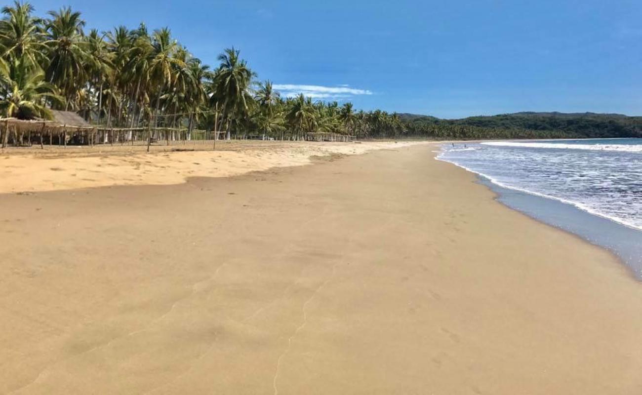 Limoncito beach'in fotoğrafı parlak ince kum yüzey ile