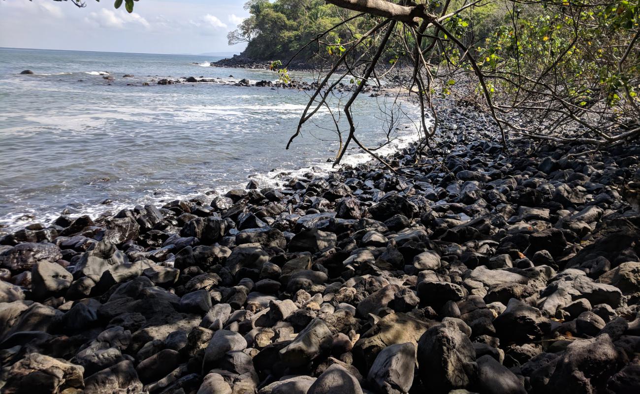 La Caleta beach'in fotoğrafı taşlı kum yüzey ile