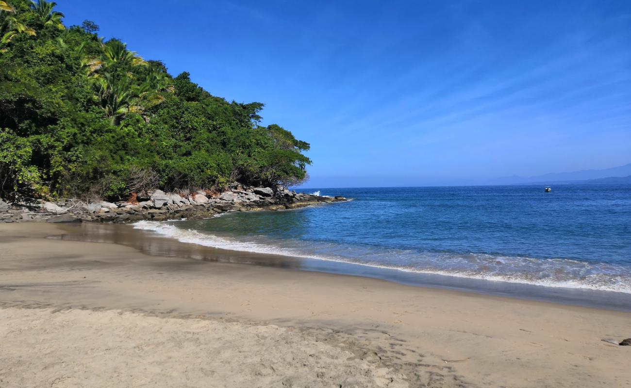 Del Toro beach'in fotoğrafı parlak kum yüzey ile