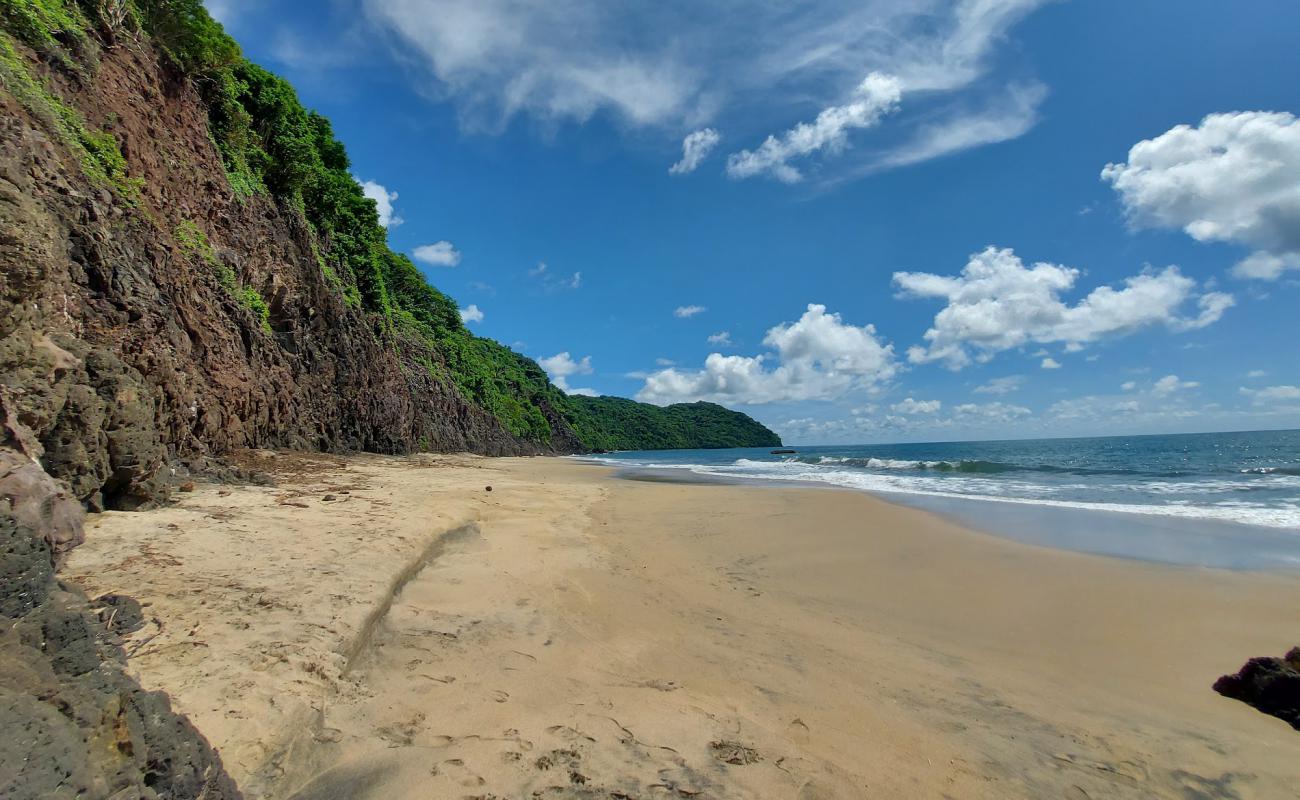 Los Venados beach'in fotoğrafı açık bej kum yüzey ile