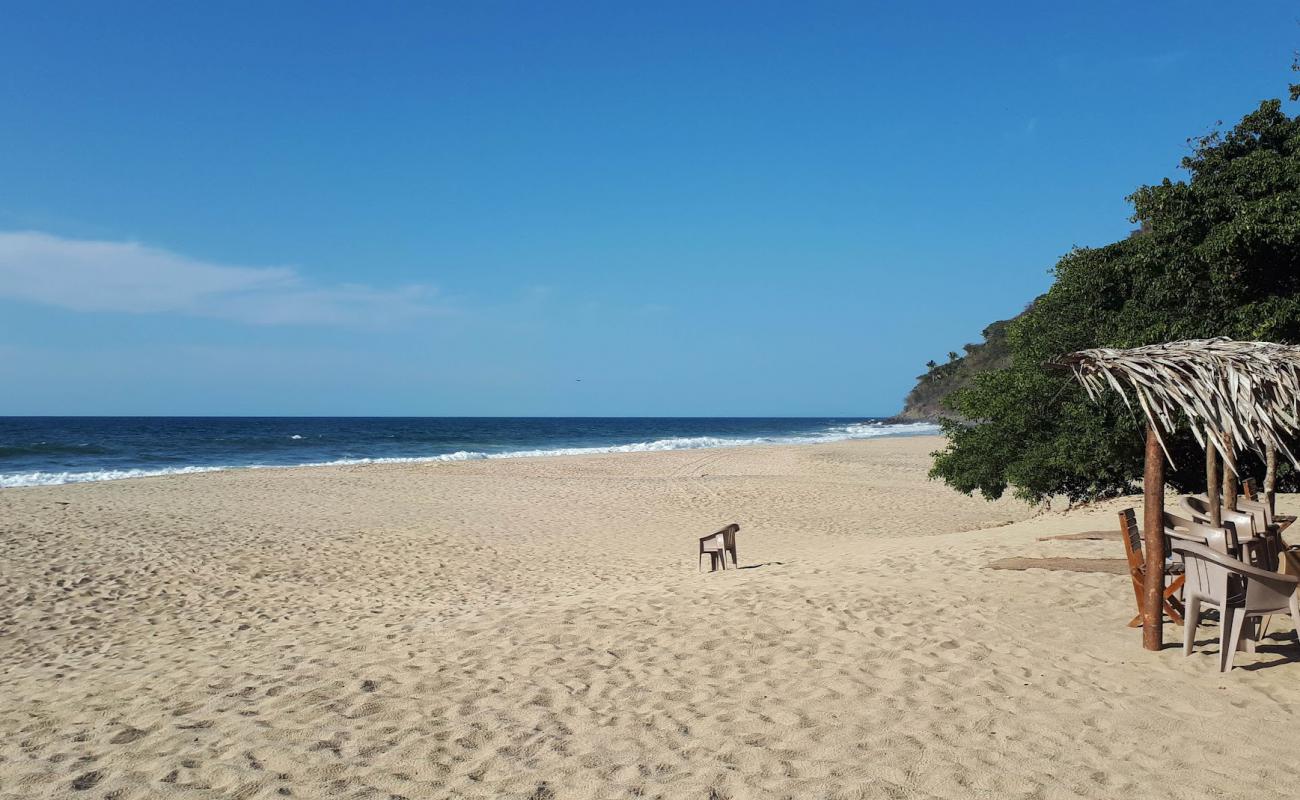 Playa Punta Monterrey'in fotoğrafı i̇nce bej kum yüzey ile