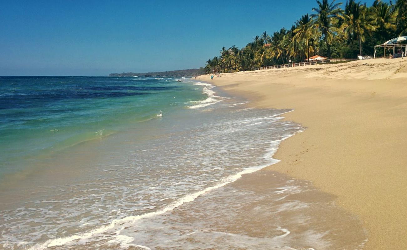 Burro Punta Mita'in fotoğrafı açık bej kum yüzey ile