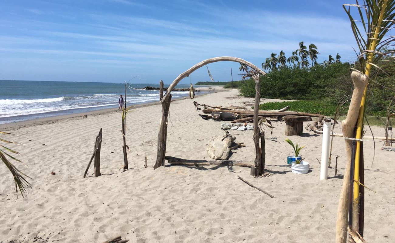Sea Turtles beach'in fotoğrafı açık bej kum yüzey ile