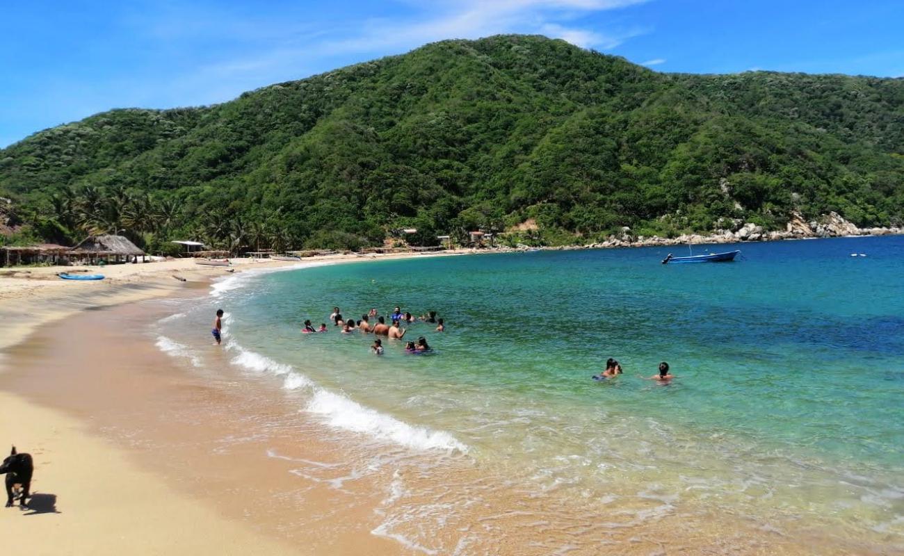 Corrales beach'in fotoğrafı parlak kum yüzey ile