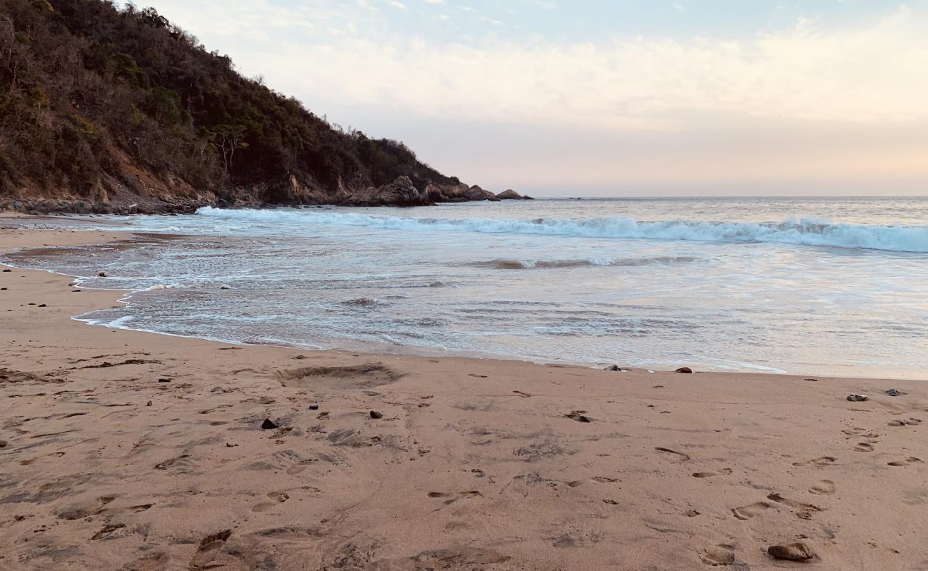 Playa el Palmito'in fotoğrafı i̇nce kahverengi kum yüzey ile