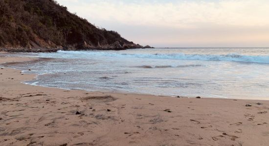 Playa el Palmito