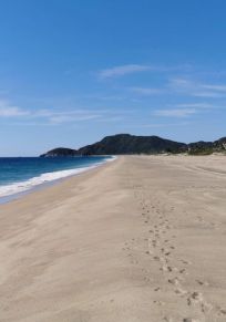 Barra de Navidad