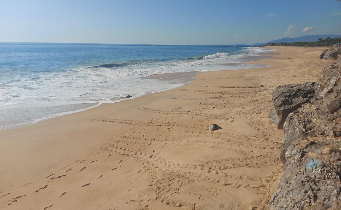Ixtapilla beach'in fotoğrafı i̇nce kahverengi kum yüzey ile