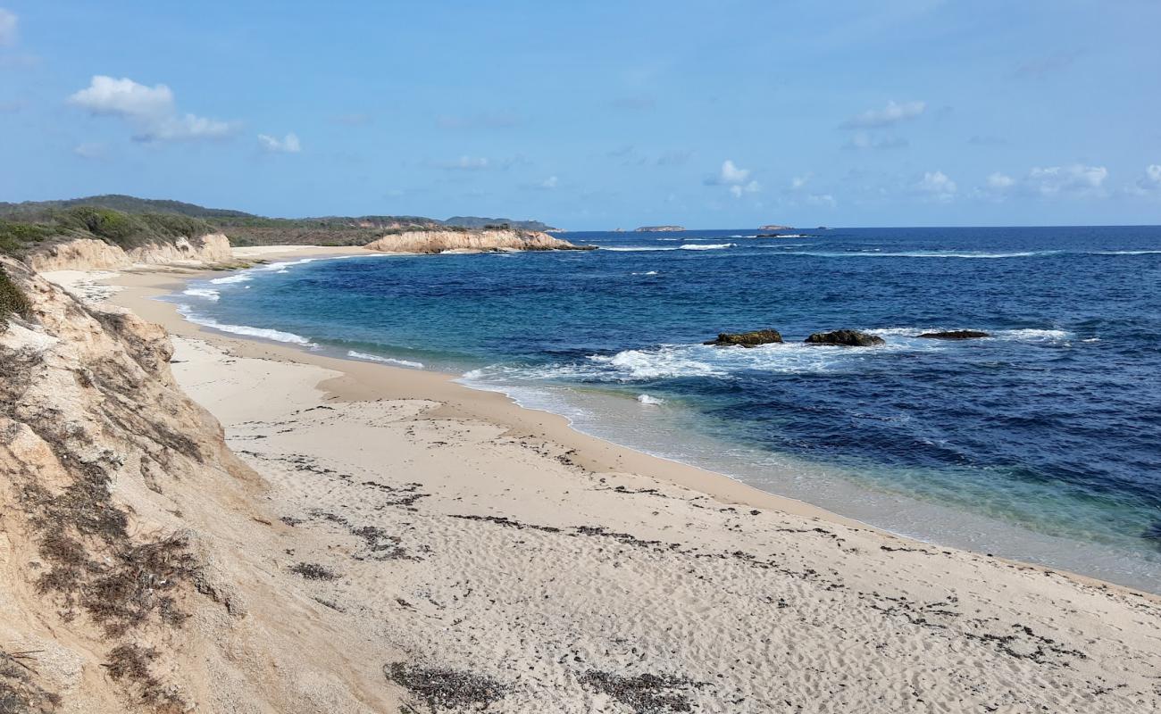 Playa La Mesa'in fotoğrafı i̇nce bej kum yüzey ile