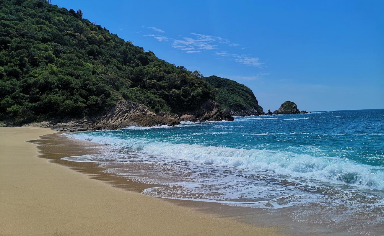 Playa Carisitos'in fotoğrafı parlak ince kum yüzey ile