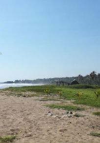 El mirador