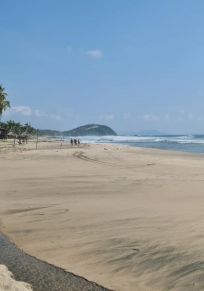 Troncones