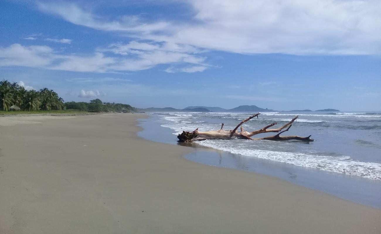 Playa Buenavista'in fotoğrafı açık bej kum yüzey ile