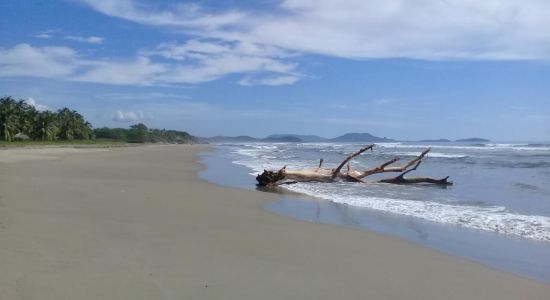 Playa Buenavista