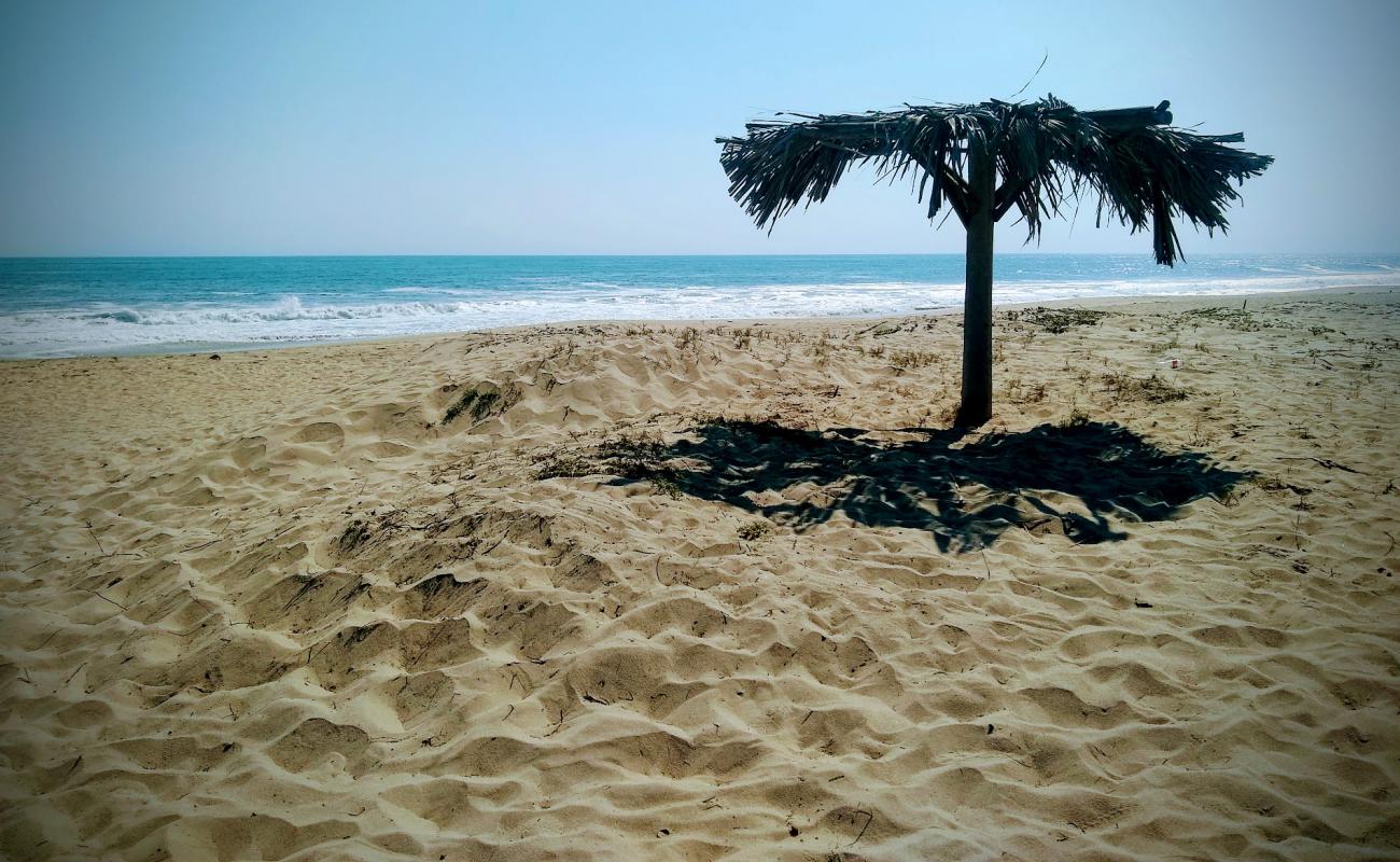 Playa El Carrizal'in fotoğrafı açık bej kum yüzey ile