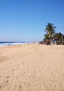 El Aguacate