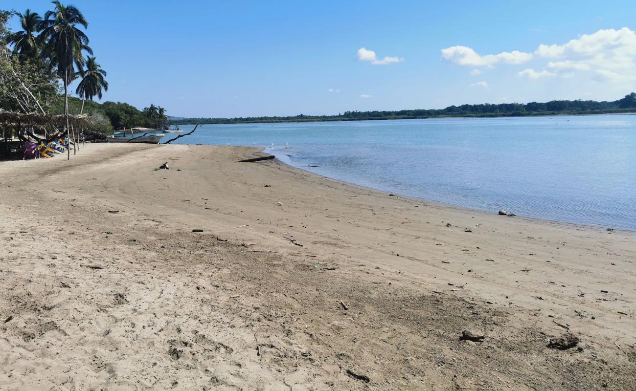 Playa Palapa'in fotoğrafı parlak kum yüzey ile