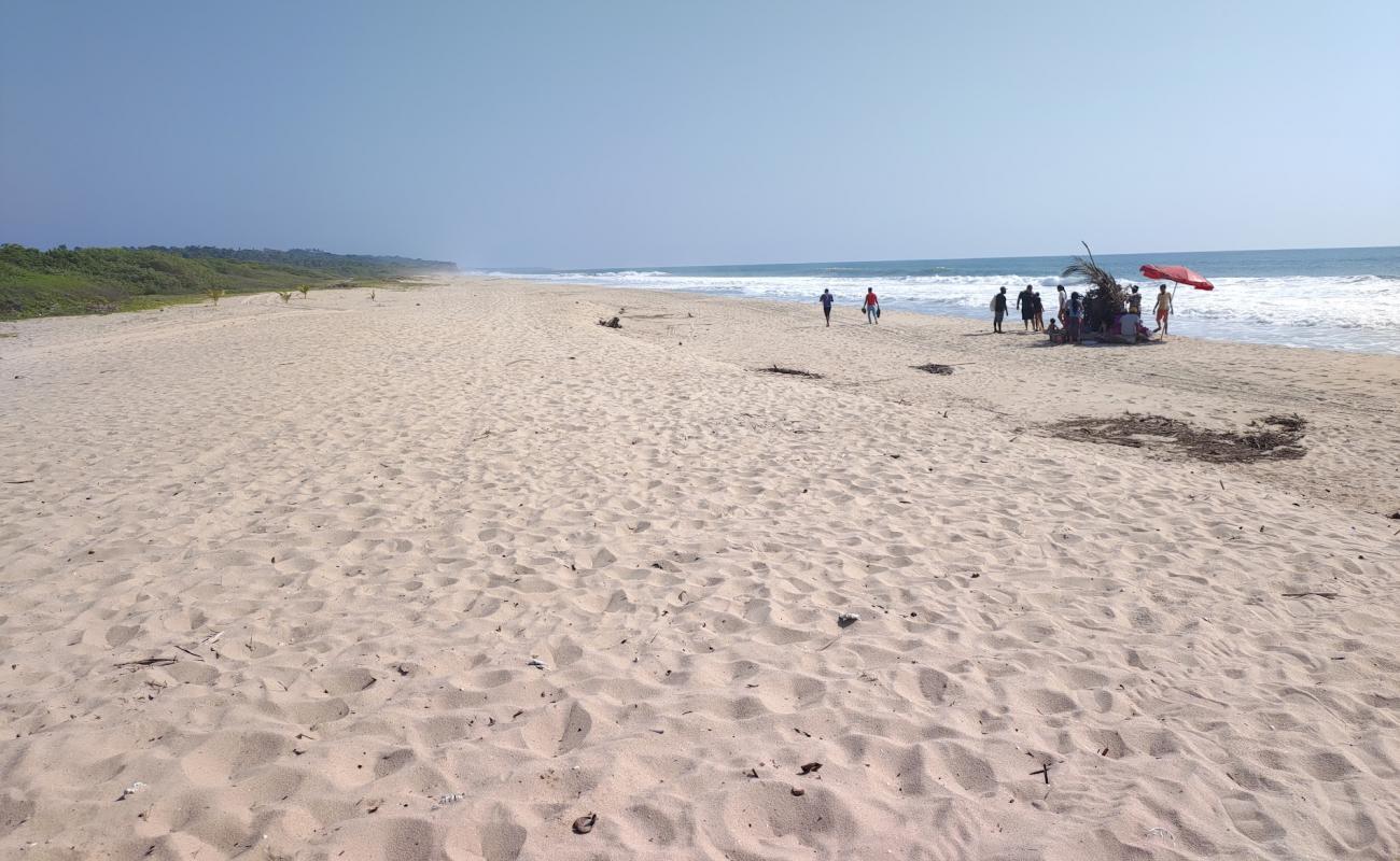 Playa El Tamale'in fotoğrafı açık bej kum yüzey ile