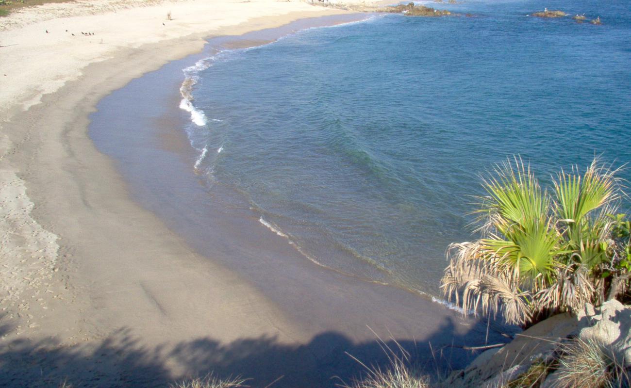 Playa del sur'in fotoğrafı parlak kum yüzey ile