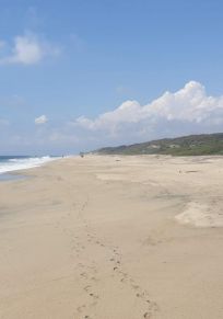 Brisas de Zicatela