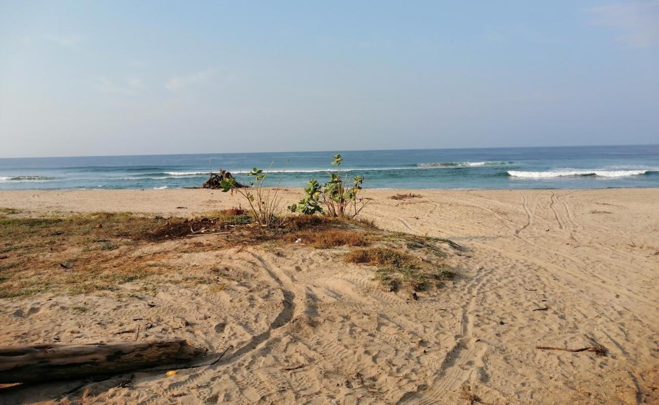 Playa Los Naranjos'in fotoğrafı parlak ince kum yüzey ile