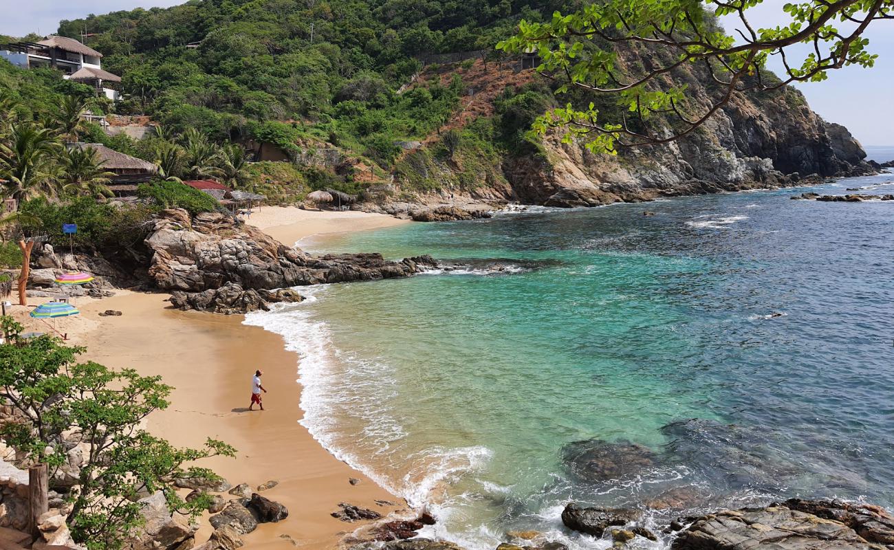 Playa Estacahuite'in fotoğrafı parlak ince kum yüzey ile