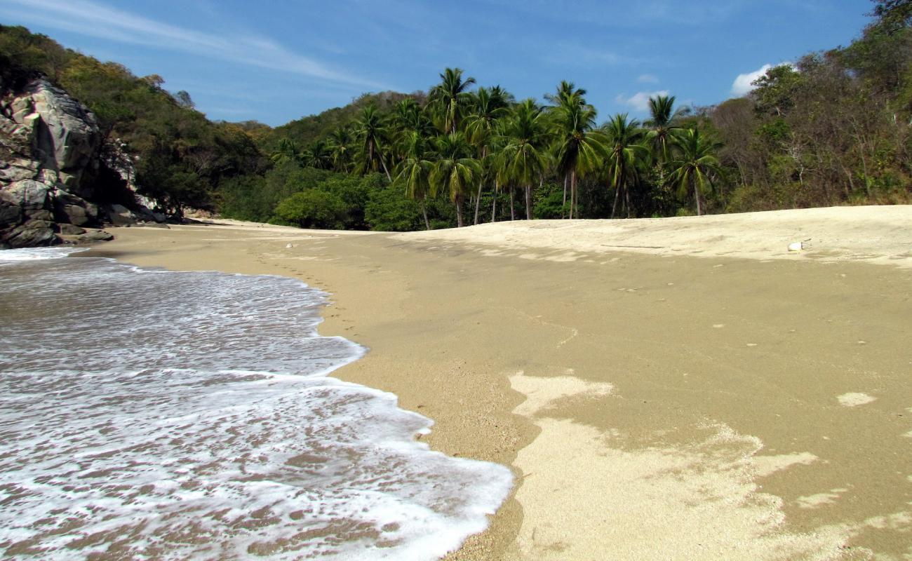Playa Mina del Angel'in fotoğrafı i̇nce bej kum yüzey ile