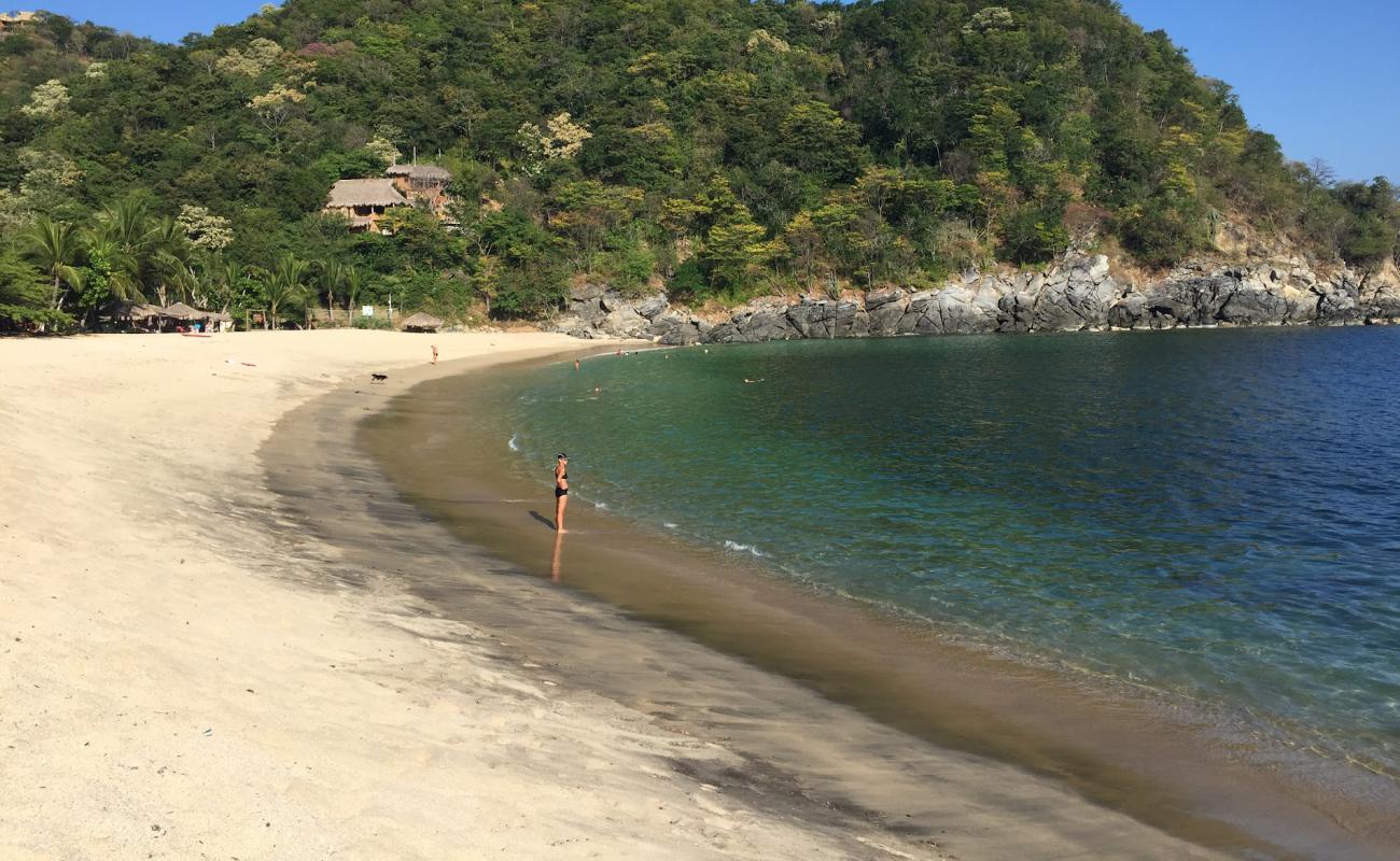 Playa La Boquilla'in fotoğrafı i̇nce bej kum yüzey ile